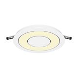 Фото DL102-12W2.7K-W - 1