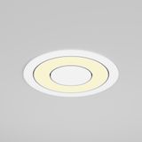 Фото DL102-12W2.7K-W - 4