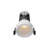 Фото DL116-10W-2.7K-W - 1