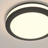 Фото DL303-L12B - 11