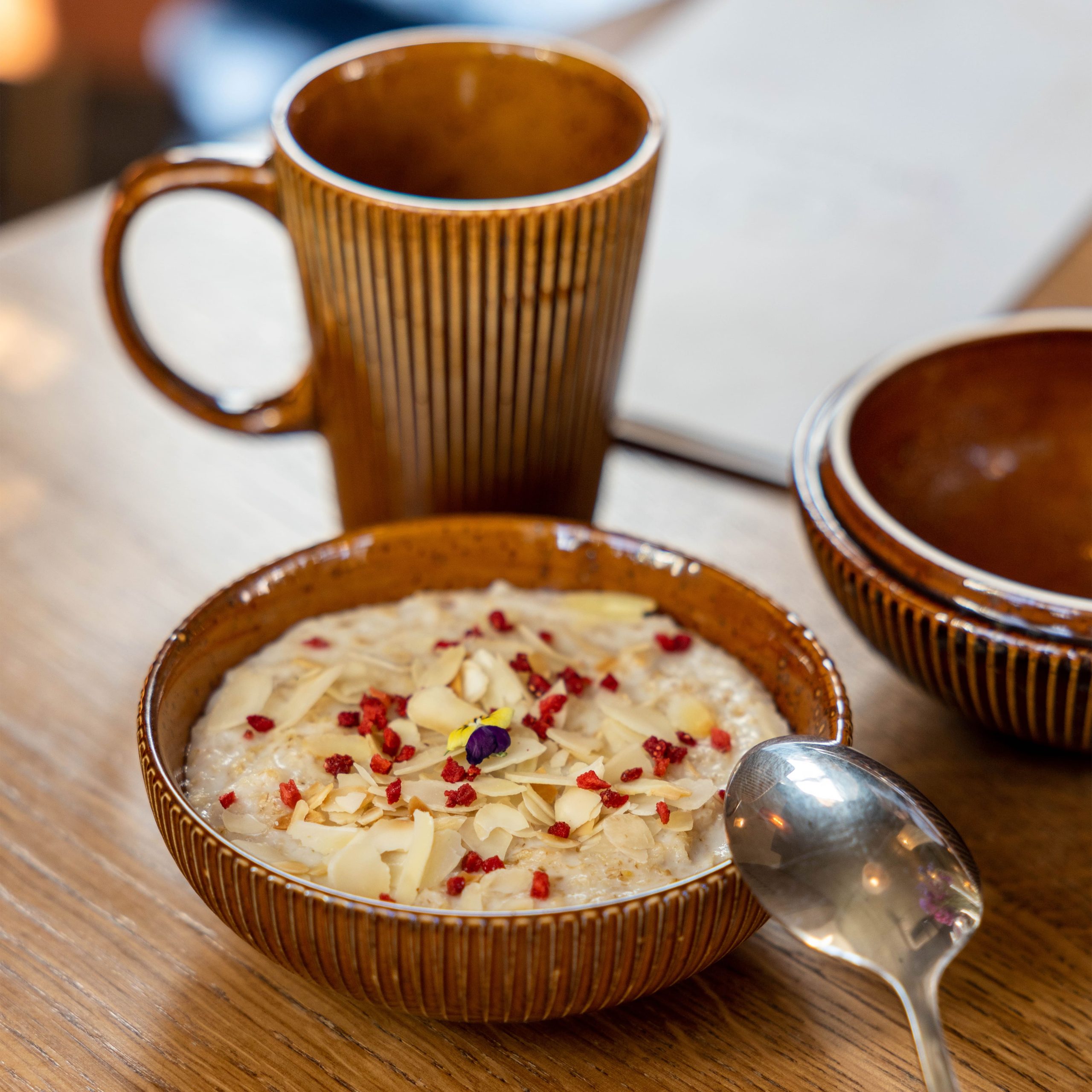 Кружка AURORA, фарфор, каштановый, 250мл