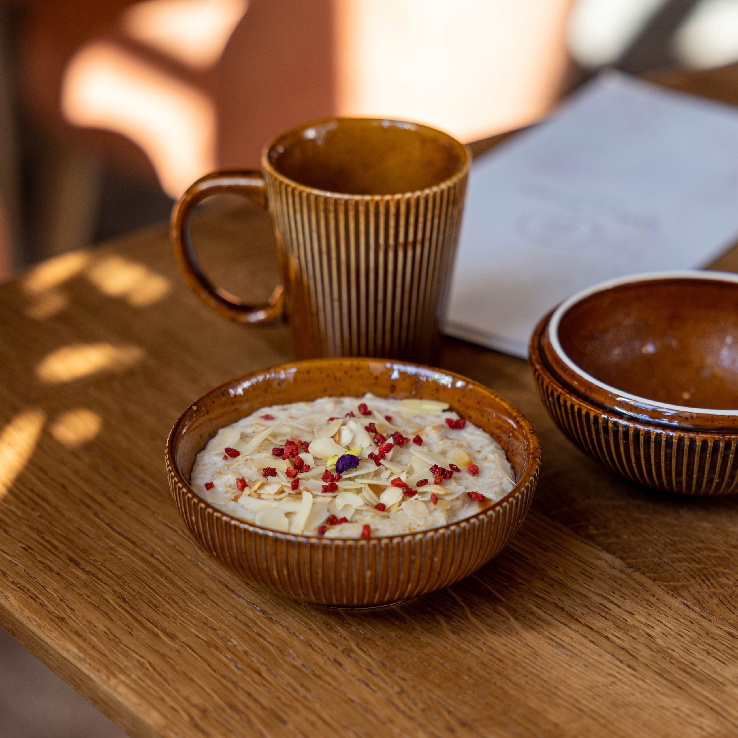 Кружка AURORA, фарфор, каштановый, 250мл