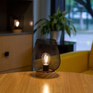 Светильник настольный AKS тип 3 ( Сетка 14х18см 1LED, 2ААА )