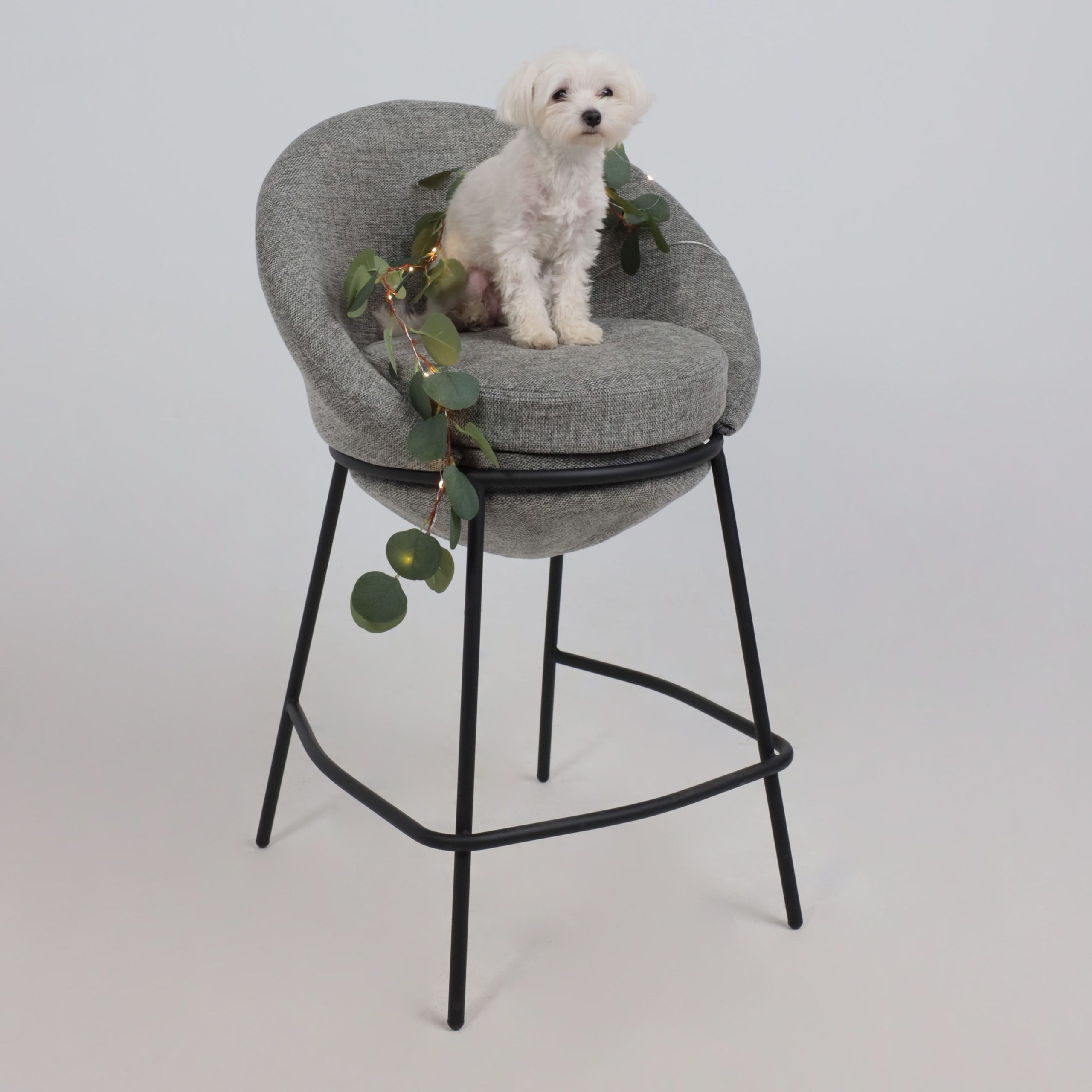 Светодиодная гирлянда AKS тип 7 ( Эвкалипт 20LED, 1.9м, 3АА )