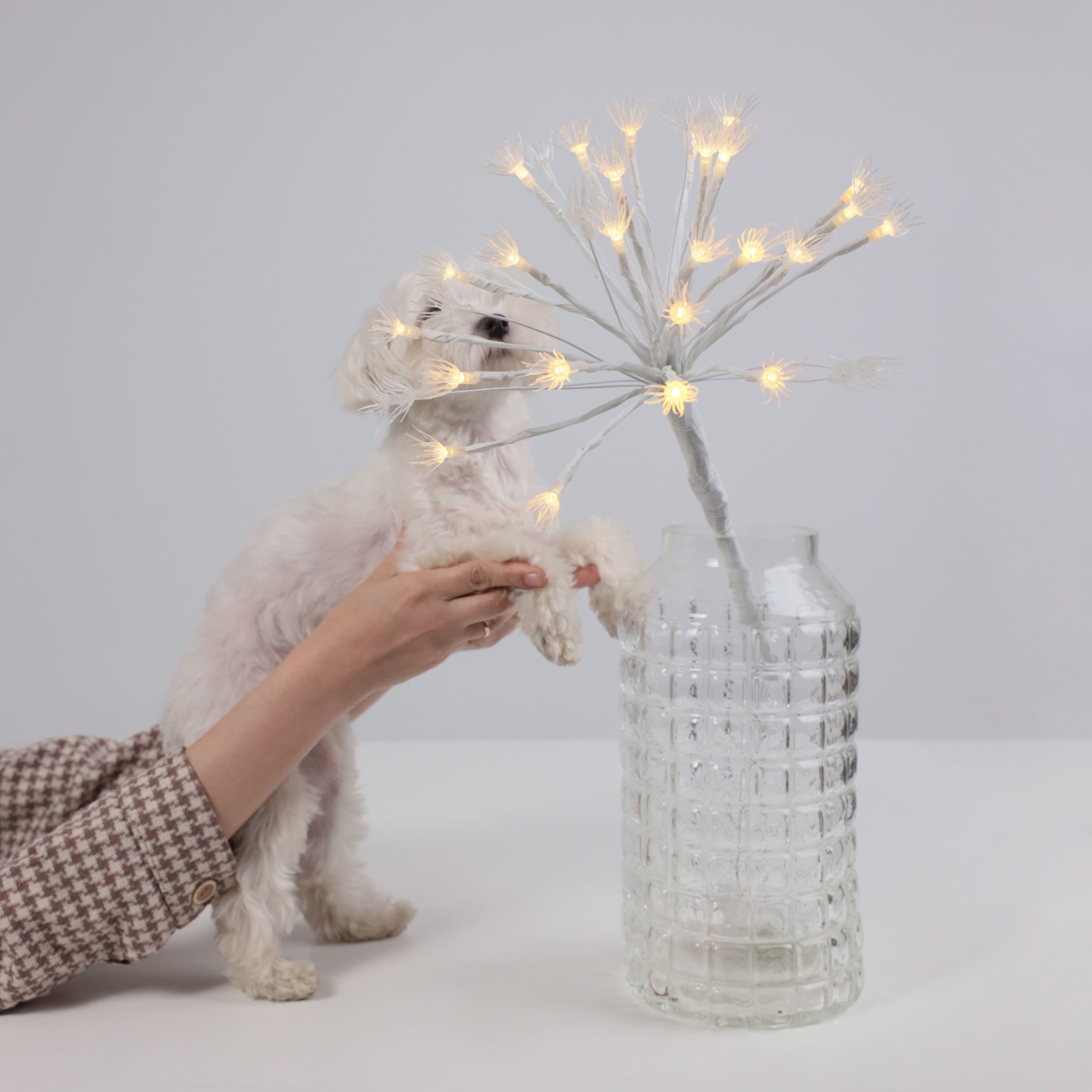 Светодиодный декор AKS тип 8 ( Фейерверк 31х75см 25LED, 3АА )